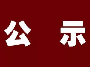 湖州市正策融资担保有限公司 干部任前公示通告