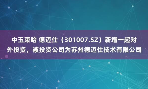 中玉束哈 德迈仕（301007.SZ）新增一起对外投资，被投资公司为苏州德迈仕技术有限公司