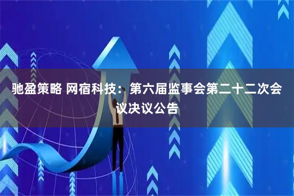 驰盈策略 网宿科技：第六届监事会第二十二次会议决议公告