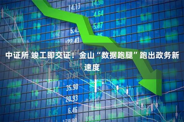 中证所 竣工即交证！金山“数据跑腿”跑出政务新速度