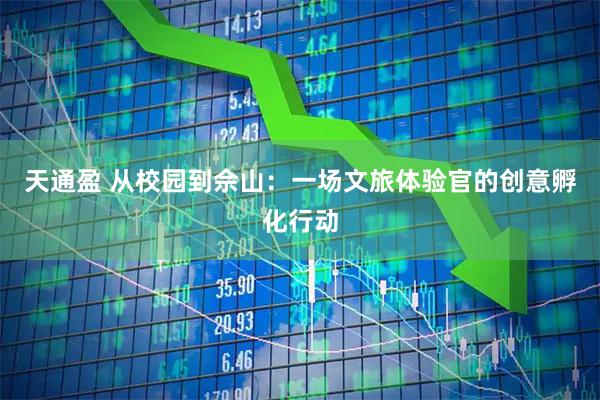 天通盈 从校园到佘山：一场文旅体验官的创意孵化行动