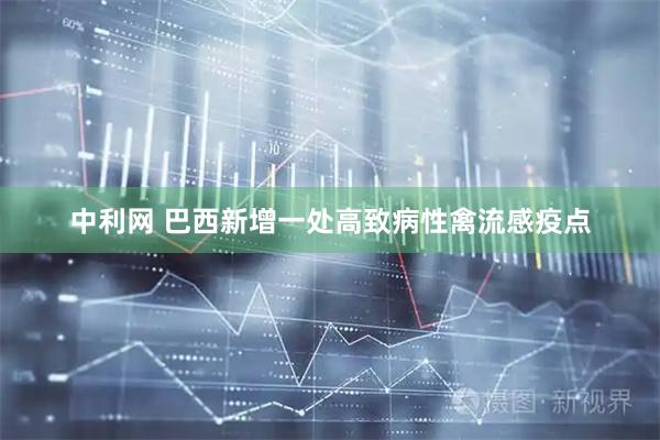 中利网 巴西新增一处高致病性禽流感疫点