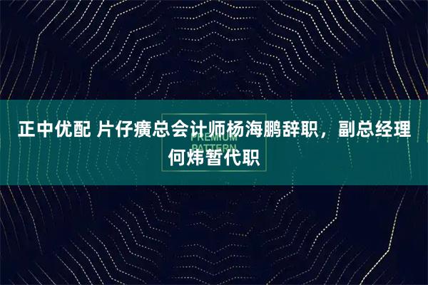 正中优配 片仔癀总会计师杨海鹏辞职，副总经理何炜暂代职