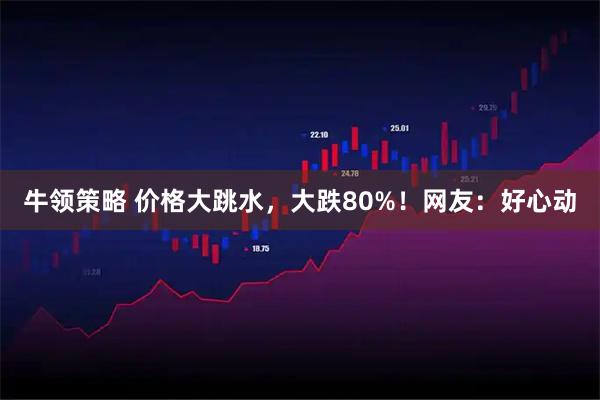 牛领策略 价格大跳水,大跌80%!网友:好心动