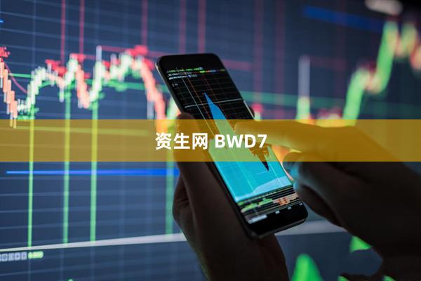 资生网 BWD7