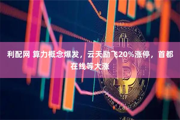 利配网 算力概念爆发,云天励飞20%涨停,首都在线等大涨