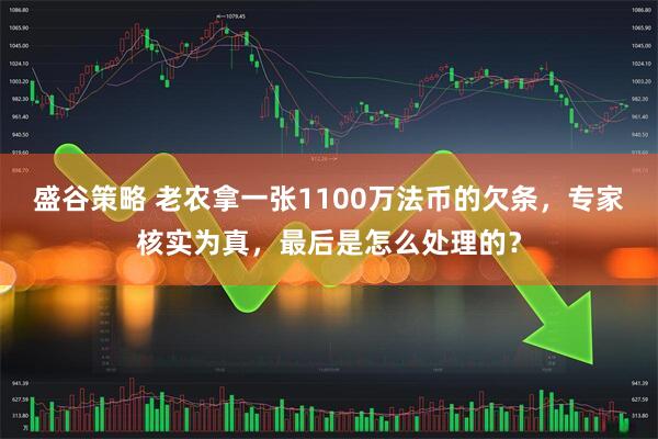 盛谷策略 老农拿一张1100万法币的欠条,专家核实为真,最后是怎么处理的?