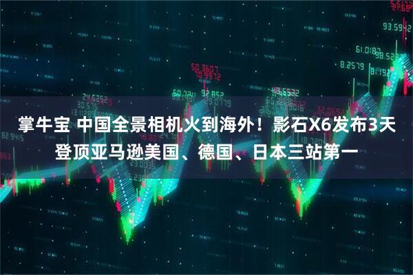 掌牛宝 中国全景相机火到海外！影石X6发布3天登顶亚马逊美国、德国、日本三站第一